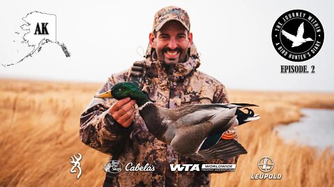 Mallards, Bufflehead & Goldeneye in Cold Bay, Alaska | The Journey Within - Waterfowl Slam