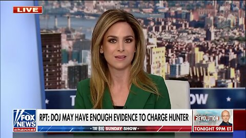 Jackie DeAngelis: Taxpayer Dollars Are Going Towards 'Damage Control' On Hunter Biden Probe