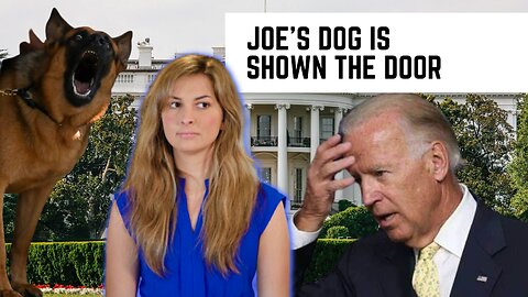 Biden's dog Commander leaves White House after numerous biting incidents