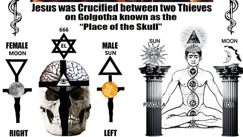 Symbols of Power 2.4: Esoteric Anatomy, Tree of Knowledge, Pineal Gland, Kundalini- Lifting The Veil