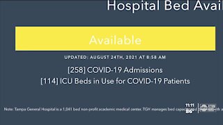 Tampa General Hospital sees 20-30 COVID-19 case admissions daily