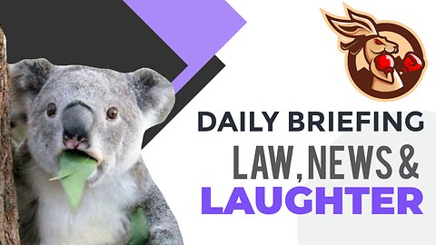 Law, News and Laughter - 40 Chooks in 40 Days and Footy Flasher Follow Up