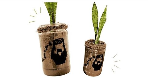 DIY Jar of Dirt Planter | Pirates of the Caribbean Inspired Home Decor | Easy and Fun Planter