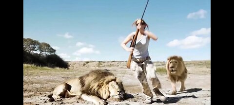 King Of Jungle Takes Revenge on Hunter ! || Viral Lion King