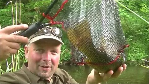Fly Fishing For Brown Trout During Mayfly Season