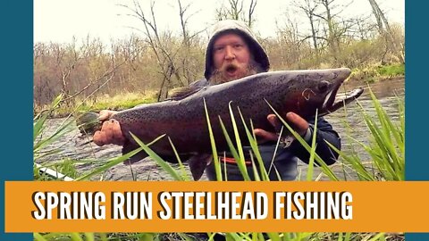 Spring Run Steelhead Fishing / 2021 Michigan Steelhead Fishing / Lake Run Rainbow Trout
