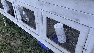 Rabbit Bottle Hack 🐇 #ChamberlinFamilyFarms #rabbits #bunnies #homesteading