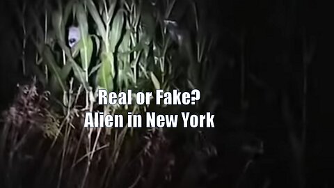 Real or Fake: Alien Captured on Video in New York