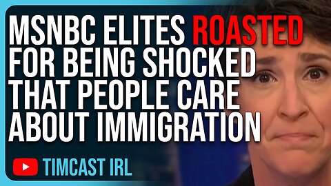 MSNBC Elites ROASTED For Being Out Of Touch, SHOCKED That People Care About Immigration