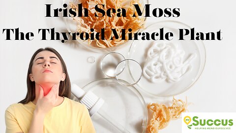 Irish Sea Moss - The Thyroid Miracle Plant