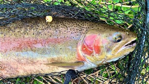 Bead Fishing For Spring Steelhead / Bead Selection & Baitcaster Slip Float Rig Rundown