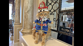 Cat Celebrates Coronation In Style