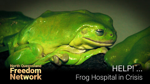 HELP! ... Frog Hospital in Crisis