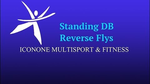 Standing DB Reverse Fly