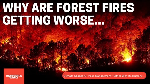 Why Are Forest Fires Getting Worse... Climate Change Or Poor Management? Either Way Its Humanity