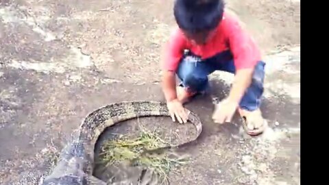 A brave little boy holding a dragon's tail
