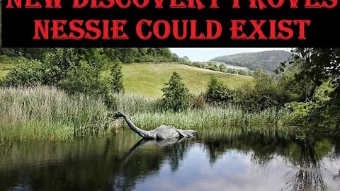 New Discovery Proves The Existence Of Nessie Is Possible Staring Into The Abyss