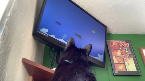 Preston watching me play Shark Shark (by Intellivision)
