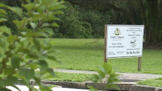 Temple Terrace neighbors concerned about possible development