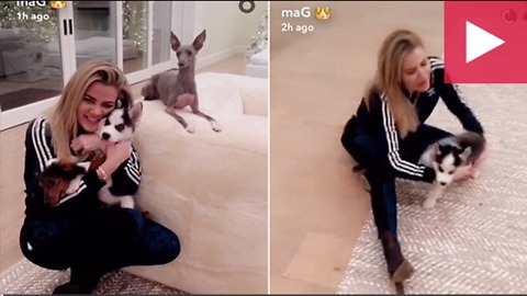 Kylie Jenner continues puppy obsession with her new Blue-Eyed Husky