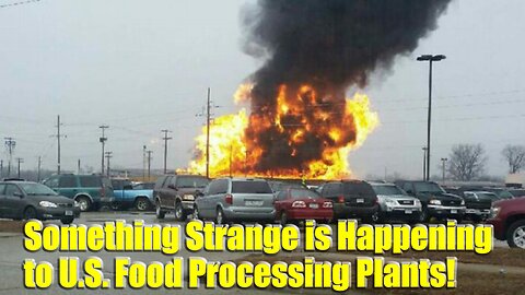 Something Strange is Happening to US Food Processing Plants