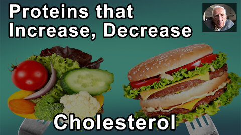 All Animal Proteins Increase Cholesterol And All Plant Proteins Decrease It - T. Colin Campbell