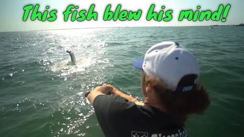 Pier Fisherman Surprised with FREE TARPON FISHING TRIP in Tampa Bay!