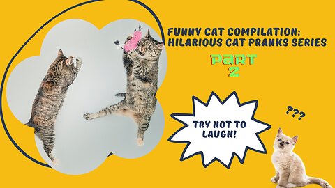 Funny Cat Compilation: Hilarious Cat Pranks Series - Part 2