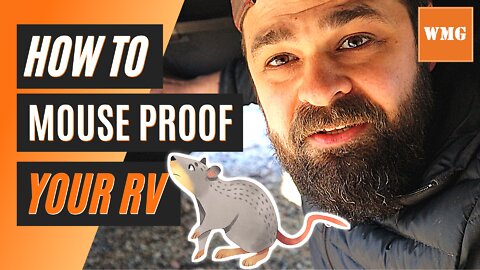STOP MICE Eliminate RV RODENTS - When nothing else works DO THIS...