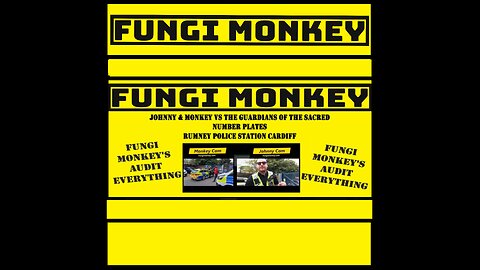 Johnny & Monkey vs the Guardians of Sacred Number Plates - Rumney Police Station - Audit Everything