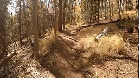 Singletrack - Captain Jack's Has some new Bridges!