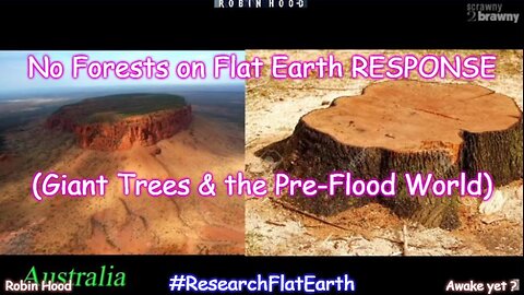 No Forests on Flat Earth RESPONSE (Giant Trees & the Pre-Flood World)