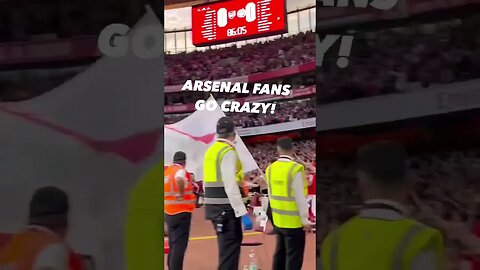Arsenal Fans Go Crazy