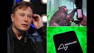 Neuralink Test Monkeys ‘Dying and Chewing Fingers Off’ As Elon Musk Readies Human Trials