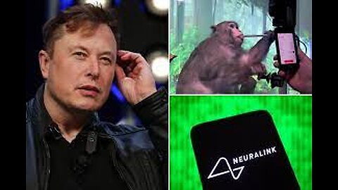 Neuralink Test Monkeys ‘Dying and Chewing Fingers Off’ As Elon Musk Readies Human Trials