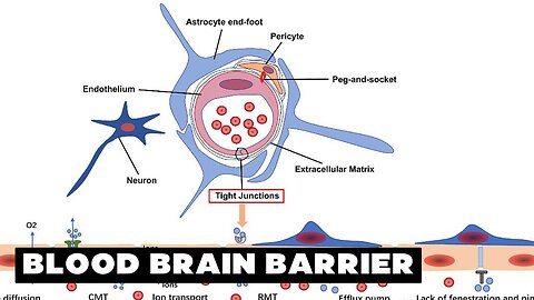 How does nanotechnology damage the brain?