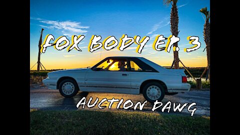 The Fox Body Mustang Has Returned To The Road!