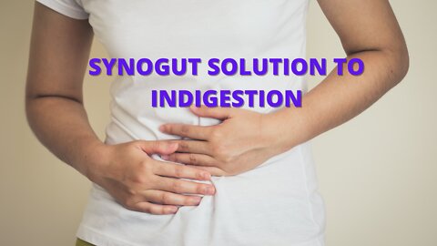 Synogut - New Winner In The Poop Niche 101: 21 Steps To Synogut Success: