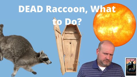 What To Do With Your Dead Raccoon?(that MIGHT have rabies).…..Deerwood Realty and Friends…Ep. 14