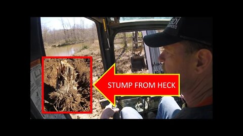 The stump from HECK... PART 2, Flipping land, WHO WILL WIN??