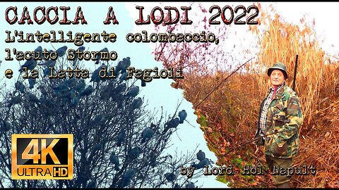 CACCIA A LODI 2022 - L'intelligente colombaccio, l'acuto Stormo e la Latta di Fagioli