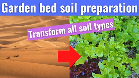 Garden bed soil preparation - improve soil quality
