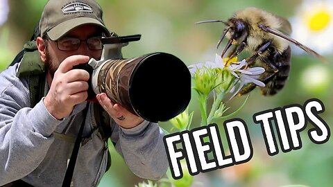 TWO Wildlife Photography tips for BEGINNERS to better your field skills