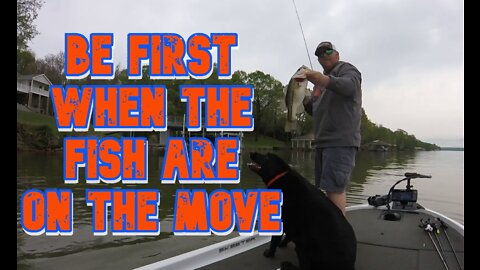Be First When The Fish Are On The Move!!!