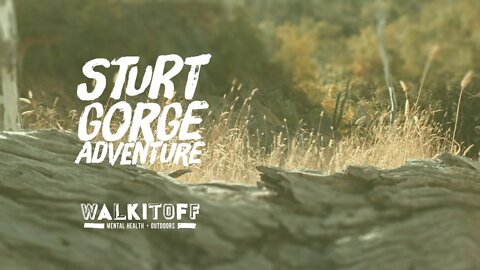 Sturt Gorge Adventure