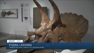 Dinosaur skull leaving Colorado after 40 years
