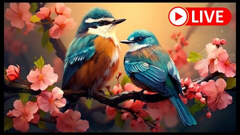 🔴 24 Hours of Relaxing Music - Piano Music for Stress Relief, Birds Sounds, Sleep, Meditation Music