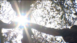 Rare winter Heat Advisory in San Diego breaks records