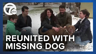 Family reunited with dog that disappeared 6 months ago & found 60 miles away