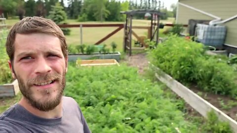 ZONE 3 Raised Vegetable Garden Canada | VLOG